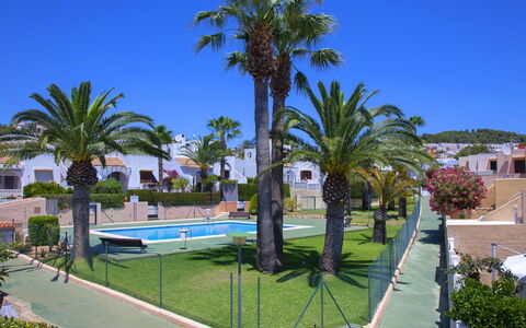 Vega: Palmier, Arbre, Propriété, Recours, Arecales, Immobilier, Piscine, Suppression Des Plantes Ligneuses, Ville Resort, Vacances
