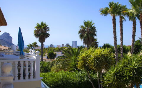 Calpe Calp 463: Arbre, Vacances, Suppression Des Plantes Ligneuses, Loisir, Ombre, Tropiques, Eco Hôtel, Recours