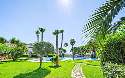 Calpe Calp 463
