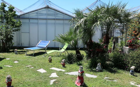 Ca' Du Né: Herbe, Arbre, Botanique, Jardin, Cour, Lot Terre, Adaptation, Maison, Plante, Zone Rurale