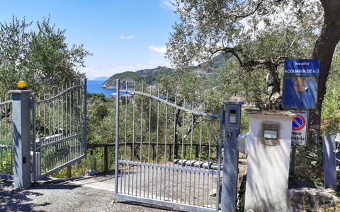 Il Frantoio Del Mesco - Levanto: Arbre, Porte, Le Fer, Tronc, Métal, Clôture, Accueil Escrime, Structure De Nonbuilding, -Link Escrime Chain, Signe