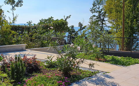 Natali: Jardin, Végétation, Propriété, Arbre, Jour, Immobilier, Zone Résidentielle, Botanique, Plante, Espace Public