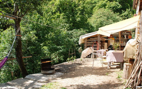 Rustico Rudico: Propriété, Arbre, Maison, Jungle, Domicile, Loisir, Zone Rurale, Adaptation, Paysage, Plante