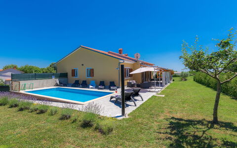Melian: Propriété, Maison, Domicile, Immobilier, Bâtiment, Villa, Piscine, Lot Terre, Ferme, Herbe
