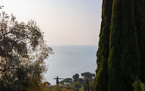 Margherita: Bâtiment, Plante, Propriété, Fenêtre, Lot Terre, Design Urbain, Paysage, Quartier, Herbe, Loisir