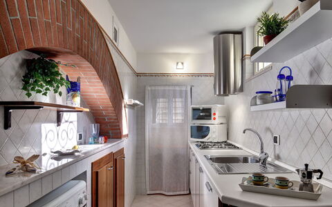 49 Little House: Cabinetry, Evier, Propriété, Comptoir, Évier, Blanc, Plante, Bâtiment, Cuisine, Plante D'Appartement