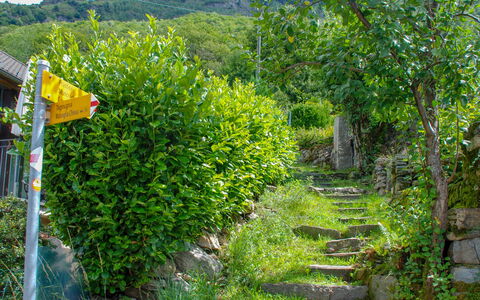 Rustico Ca' Di Garoi: Végétation, Réserve Naturelle, Arbre, Plante, Botanique, Biome, Fleur, Piste, Feuille, Jardin