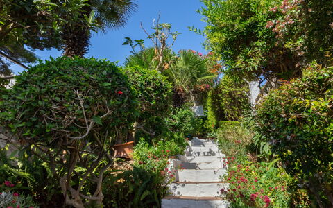 La Dorada: Végétation, Jardin, Propriété, Jardin Botanique, Arbre, Botanique, Ciel, Immobilier, Passerelle, Plante