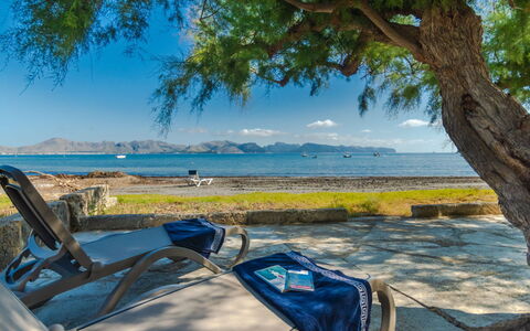Sa Marina: Arbre, Rive, Ciel, Vacances, Plage, Mer, Tropiques, Océan, Côte, Baie