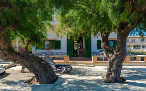 Sa Marina: Plante, Bâtiment, Fenêtre, Arbre, Ombre, Maison, Tronc, Surface De La Route, Bois, Design Urbain
