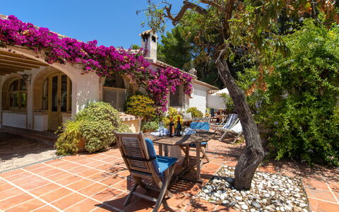 Villa Lander: Propriété, Immobilier, Maison, Domicile, Arbre, Bâtiment, Patio, Jardin, Cour, Plante