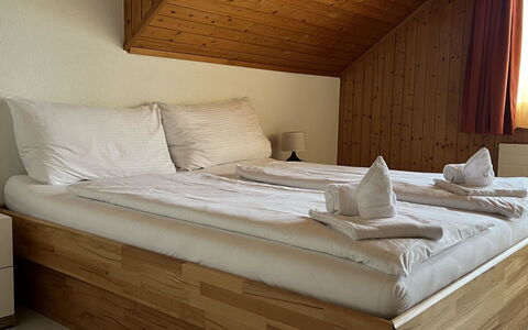 Hauswurz: 