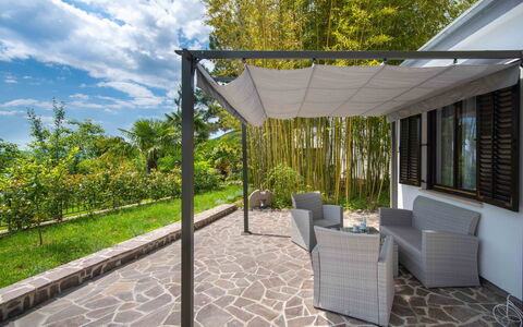 Erminia: Plante, Meubles, Nuage, Ciel, Ombre, Arbre, Bâtiment, Chaise, Mobilier De Jardin, Surface De La Route