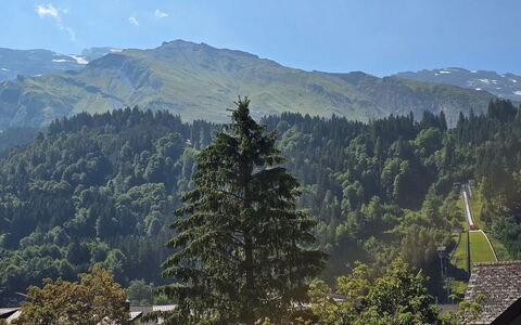 Titliszentrum 2: Montagne, Montagnes Relief, Arbre, La Nature, Feuille, Colline, Végétation, Chaîne De Montagnes, Forêt, Montagnes