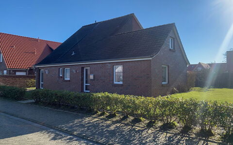 Norddeich 492: Plante, Ciel, Fenêtre, Bâtiment, Lot Terre, Asphalte, Herbe, Maison, Surface De La Route
