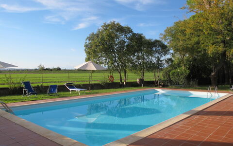 Fattoria di Scaletta: Ciel, L'Eau, Nuage, Plage, Parapluie, Mobilier De Jardin, Ombre, Cotiers Et Relief Océaniques