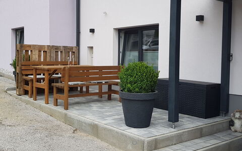 Stefanie: Plante, Propriété, Bâtiment, Pot De Fleur, Éclairage, Plante D'Appartement, Architecture, Surface De La Route, Design Intérieur, Ombre