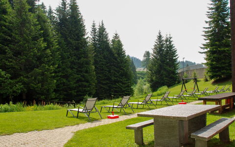 Panorama View 905: La Nature, Arbre, Paysage Naturel, Herbe, Chaîne De Montagnes, Région Sauvage, Alpes, Biome, Espace Public, Table