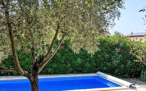Villa Montes: Ombre, Piscine, Jardin, Suppression Des Plantes Ligneuses, Arrière-Cour, Aménagement Paysager, Cour, Pelouse