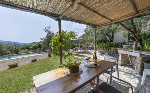 Olivo: Plante, Propriété, Table, Pot De Fleur, Ombre, Plante D'Appartement, Mobilier De Jardin, Design Intérieur, Chaise, Chalet