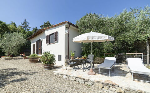 Olivo: Plante, Communauté Des Plantes, Ciel, Bâtiment, Fenêtre, Arbre, Ombre, Lot Terre, Maison, Chalet
