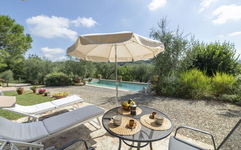 Olivo: Nuage, Plante, Ciel, Propriété, Table, Pot De Fleur, Mobilier De Jardin, Ombre, Parapluie, Chaise