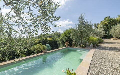 Olivo: L'Eau, Plante, Ciel, Nuage, Piscine, Arbre, Végétation, Paysage Naturel, Herbe, Ombre