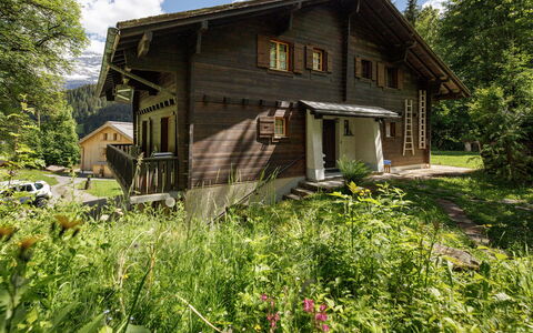 Les Diablerets 600: Bâtiment, Maison, Bois, Domicile, Chalet, Toit, Zone Rurale, Siding, Porte, Cabane En Rondins