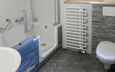 Les Diablerets 600: Propriété, Luminaire Plomberie, Sol, Sol, Toilette, Salle De Bains, Plomberie, Robinet, Gaz