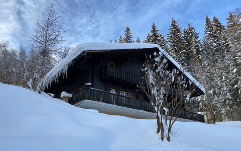 Les Diablerets 600: Ciel, Bâtiment, Neige, Nuage, Arbre, Plante, Maison, Pente, Bois, Chalet