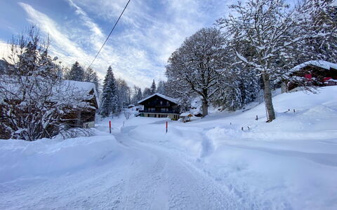 Les Diablerets 600: Nuage, Ciel, Neige, Fenêtre, Bâtiment, Pente, Plante, Arbre, Terrain, Maison
