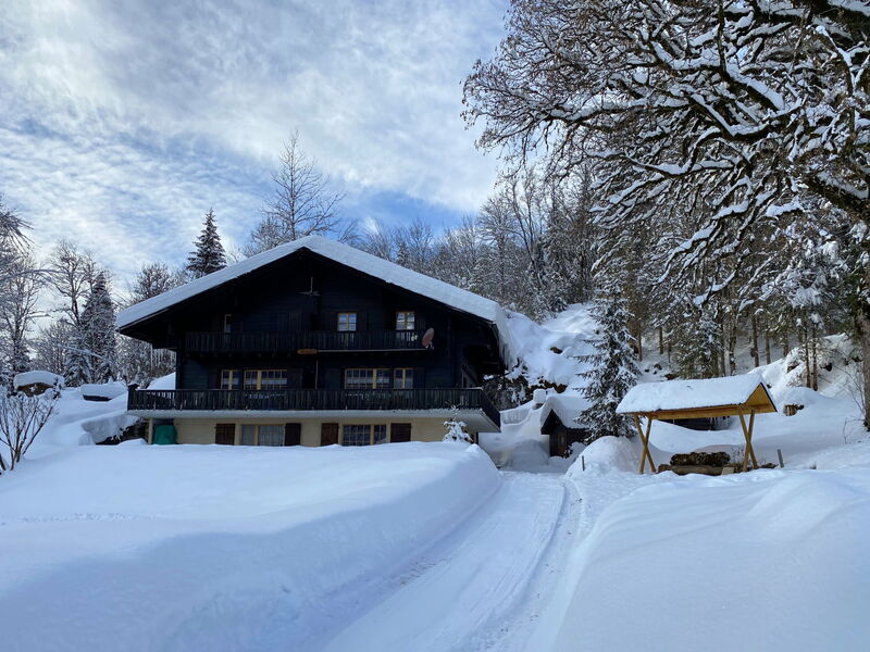 Les Diablerets 600
