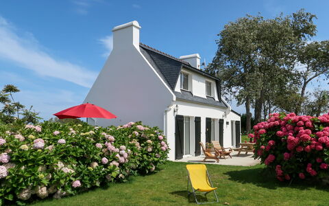 Ty Va Zud: Fleur, Ciel, Plante, Fenêtre, Bâtiment, Feuille, Nuage, Maison, Lot Terre, Arbre