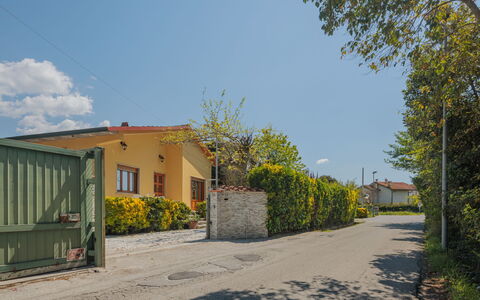 Mauro
