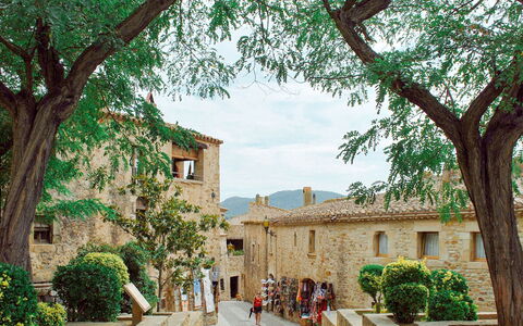 Torre Mitjorn: Plante, Ciel, Propriété, Fenêtre, Bâtiment, Vert, Arbre, Végétation, Biome, Quartier