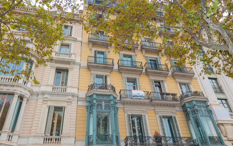 Centro: Passeig de Gracia - Casa Batllo: Bâtiment, Fenêtre, Propriété, Arbre, Design Urbain, Mur, Condominium, Façade, Ville, Symétrie