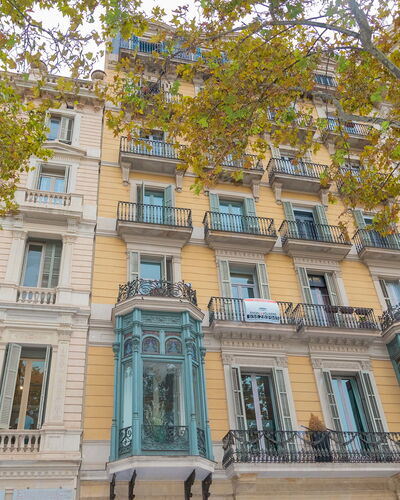 Centro: Passeig de Gracia - Casa Batllo: Bâtiment, Fenêtre, Propriété, Arbre, Design Urbain, Mur, Condominium, Façade, Ville, Symétrie