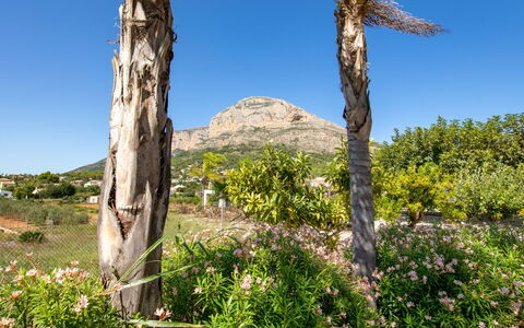 Villa Finca Labranza: Végétation, Arbre, Région Sauvage, Environnement Naturel, Réserve Naturelle, Communauté Des Plantes, Plante, Biome, Roche, Botanique