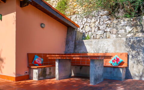 Paradise View: Propriété, Pièce, Mur, Maison, Meubles, Table, Bois, Arbre, Bâtiment, Architecture