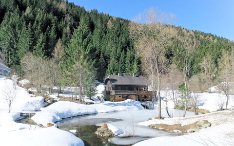 Fischerhütte: L'Hiver, Neige, Arbre, Géologique Phénomène, Gelé, Plante, Paysage, Montagne, La Glace, Parc D'État