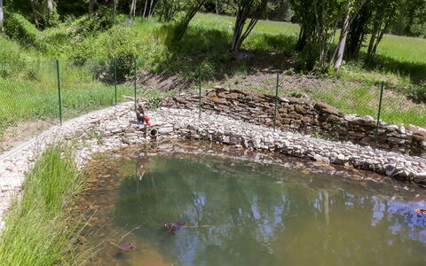 Nebahovy U Prachatic: Ressources En Eau, Banque, L'Eau, Étang, Cours D'Eau, Riparienne, Étang À Poissons, Voie Navigable, Herbe, Ripisylve