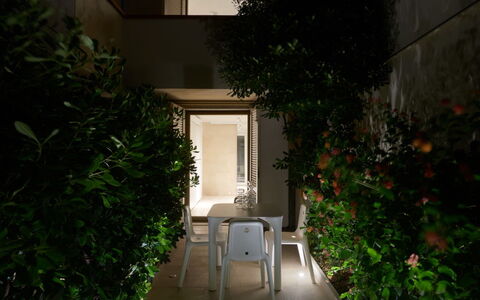 Sea Design Home: Plante, Bâtiment, La Nature, Feuille, Végétation, Éclairage, Architecture, Ombre, Herbe, Design Urbain