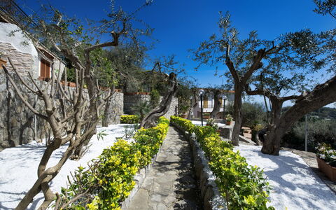 Villa Nerano: Propriété, Arbre, Immobilier, Botanique, Plante, Printemps, Maison, Tourisme, Paysage, Montagne