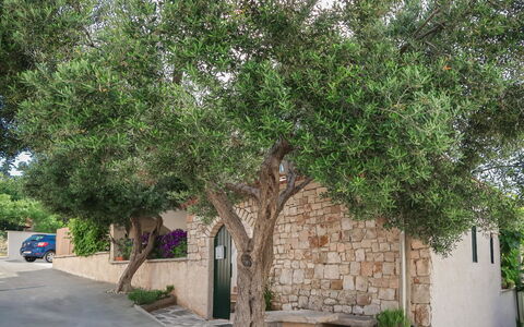 Brač Supetar 620: Plante, Surface De La Route, Bâtiment, Arbre, Tronc, Suppression Des Plantes Ligneuses, Ombre, Maison, Voiture, Route