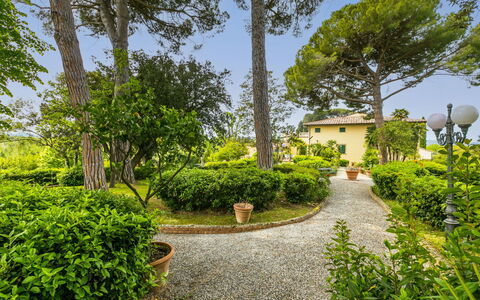 Crespina Lorenzana 100: Plante, Ciel, Bâtiment, Vert, Éclairage Public, Paysage Naturel, Arbre, Surface De La Route, Lot Terre, Maison