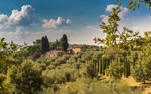 Villa Poggiospinoso: Paysage Naturel, La Nature, Ciel, Végétation, Arbre, Nuage, Environnement Naturel, Région Sauvage, Biome, Réserve Naturelle