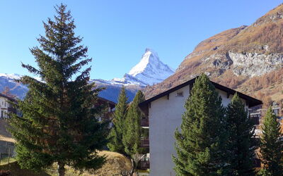 St. Bernhard