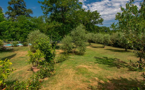 Elena: Arbre, Environnement Naturel, La Nature, Feuille, Végétation, Arbuste, Communauté Des Plantes, Prairie, Plaine, Lot Terre