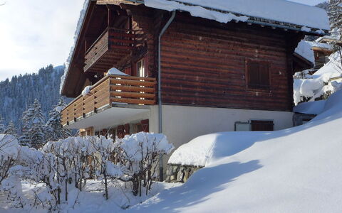 Haimavati: Neige, Jour, Propriété, Bâtiment, Ciel, Fenêtre, Plante, Pente, Maison, Arbre