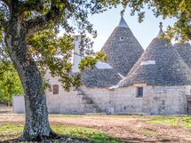 Trulli Pozzo Del Geco